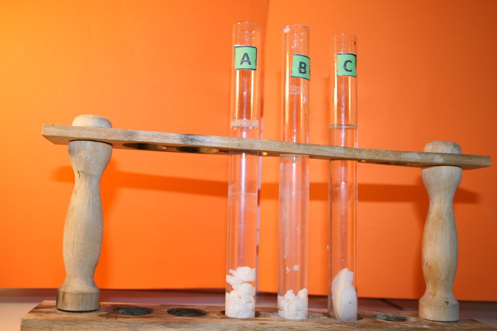 gal/LES_CINQUIEMES/ACTIVITE DIGESTION IN VITRO/Groupe_04/Groupe04_T_00h00min/Groupe04_T_00h_00min_19.JPG